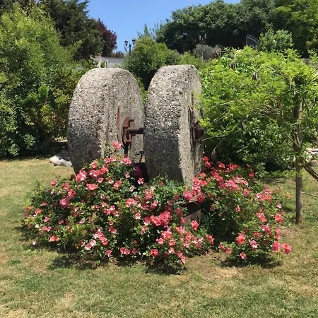 La Mola Πανσιόν 4*