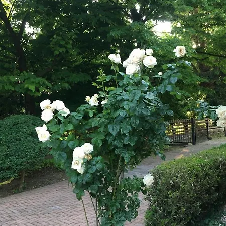 Πανσιόν La Mola 4*