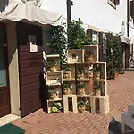 게스트하우스 La Mola 4*