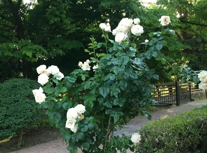 Guest house La Mola 4*